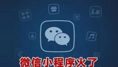 微信小程序開(kāi)發(fā)盈利的現(xiàn)狀分析